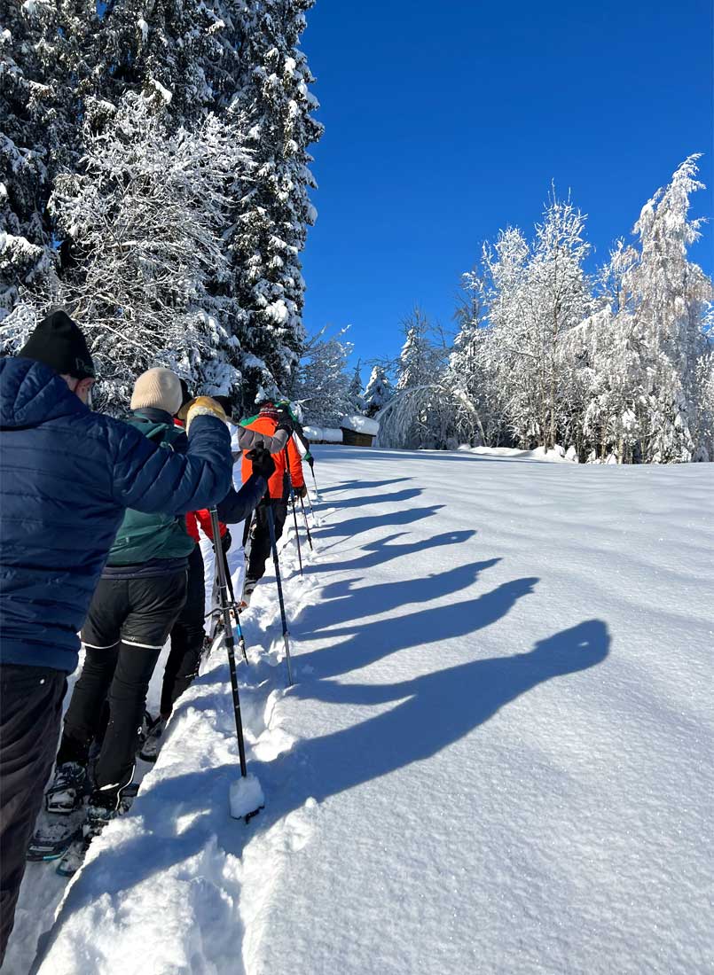 Wintertour durch Gunzesried, Naturpark Nagelfluh - für Fortgeschrittene