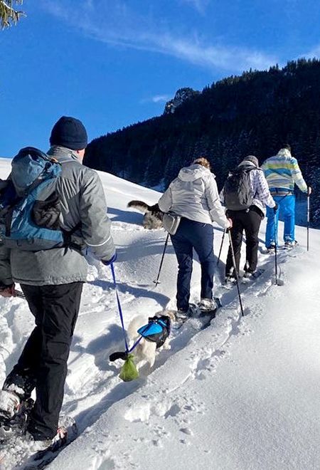 Viel Spaß im Winter bei einer geführten Tour